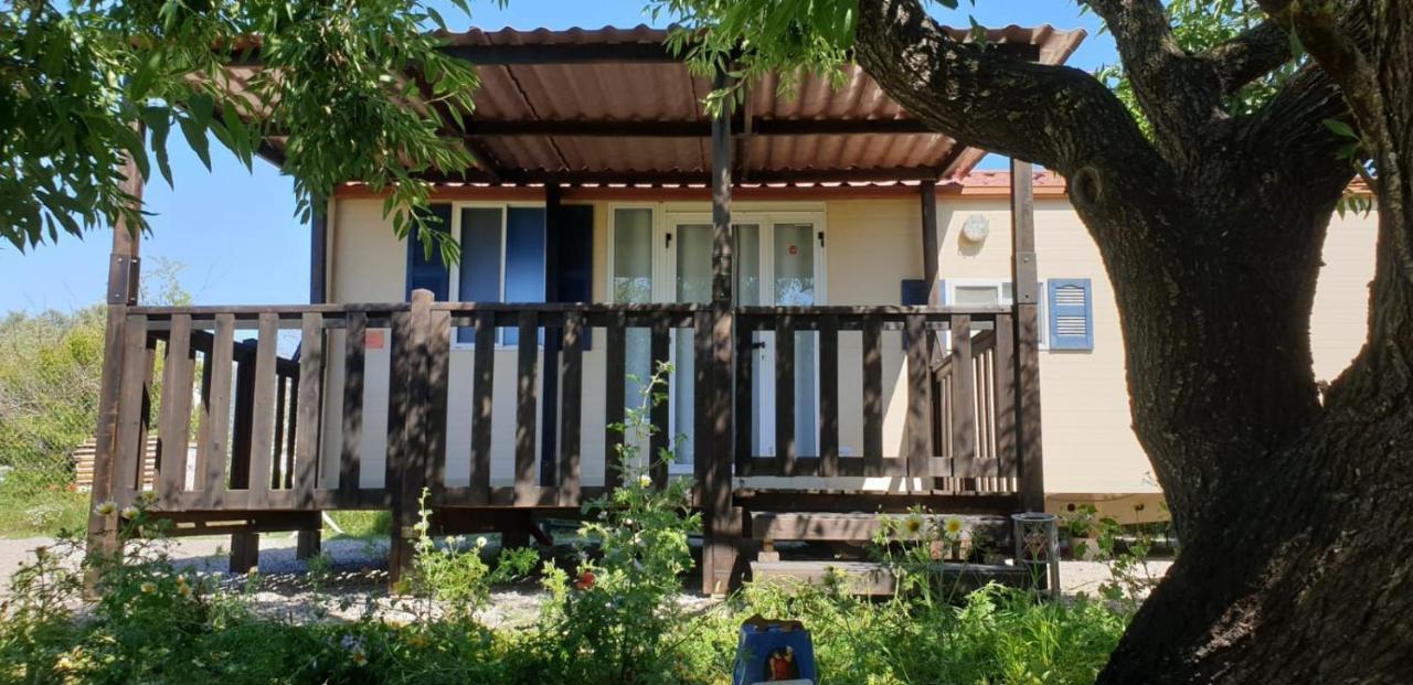 The Farm Tiny House - Tiny Casa Hotel ชิกลานา เด ลา ฟรอนเตรา ภายนอก รูปภาพ